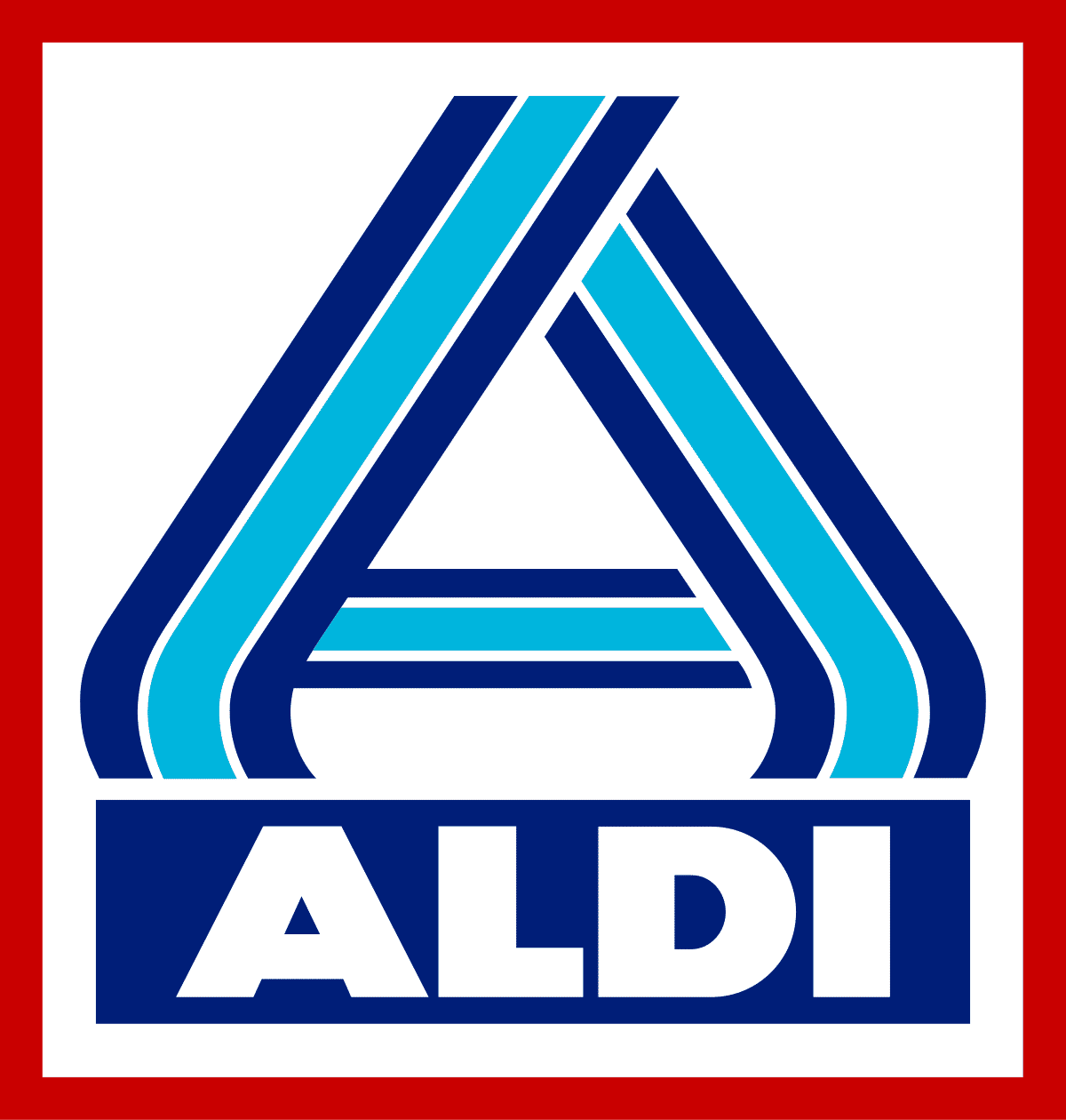 Aldi Elektrische Fiets