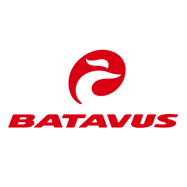 Batavus Elektrische fiets