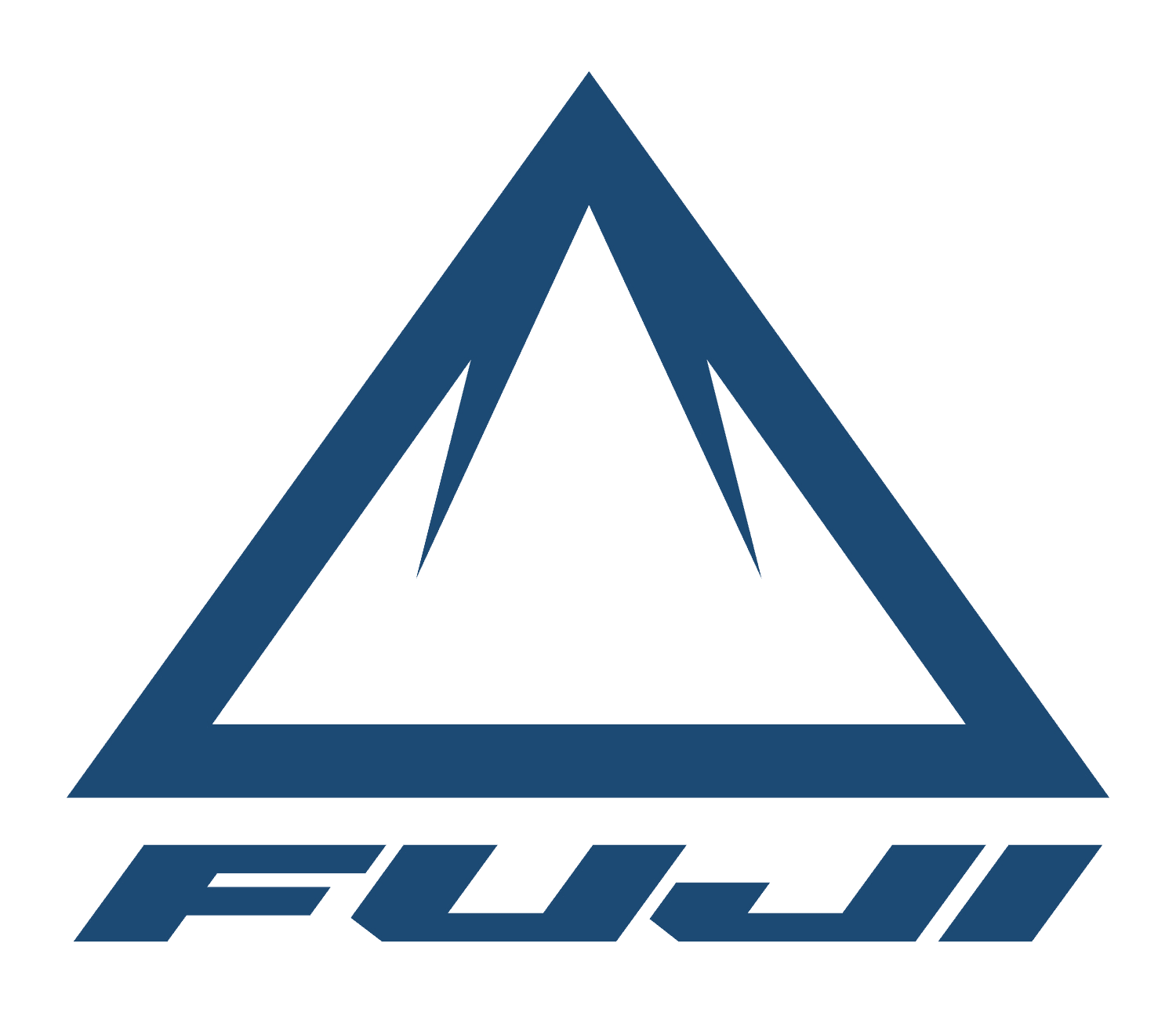 Fuji Elektrische fiets