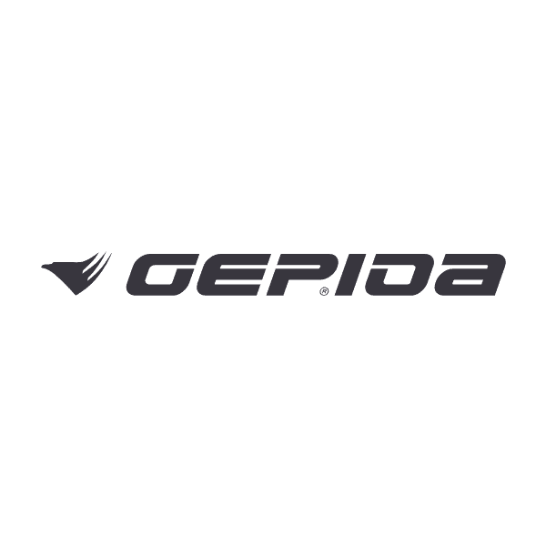 Gepida Elektrische Fiets